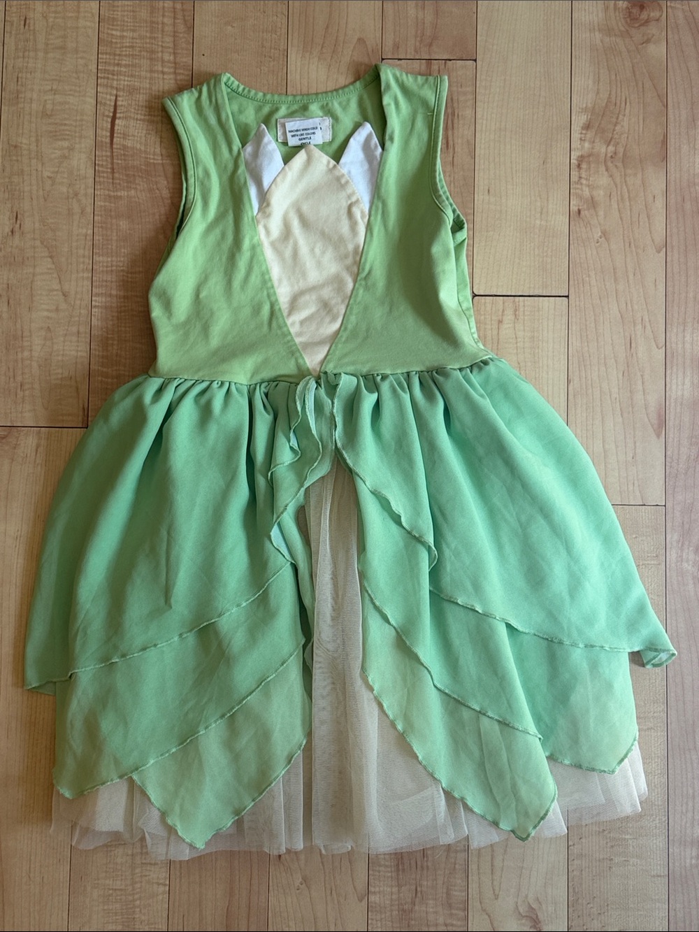 Taylor Joelle princess Tiana dress